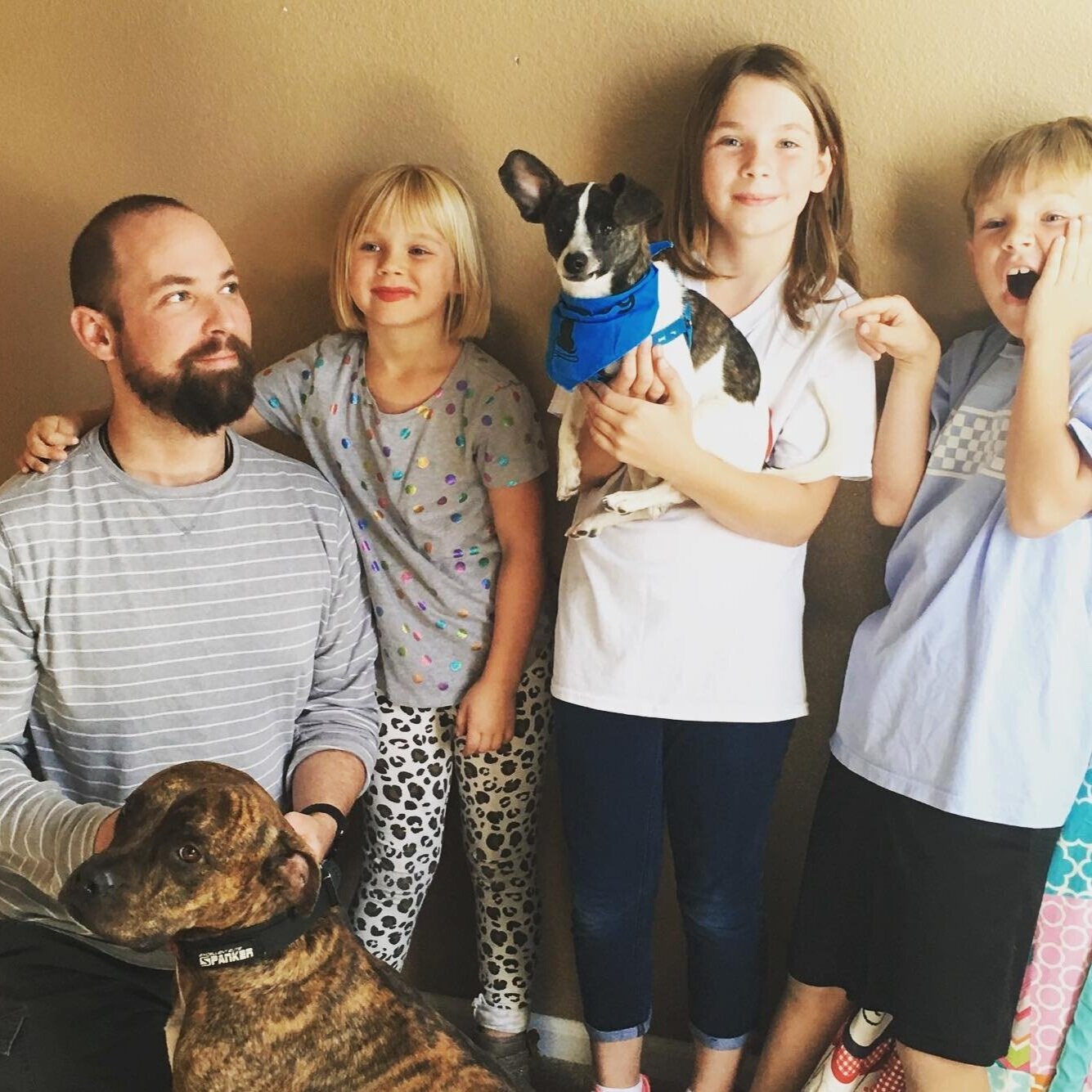 Suds was given to us and despite his family giving him up he was a truly happy dog. When he met his new family he just wanted to play and play with the kids. He enjoyed all the handling. What a unique chihuahua, right? Not even a hint of attitude! H…