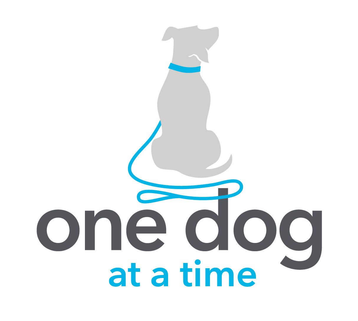 One Dog at a Time Colorado