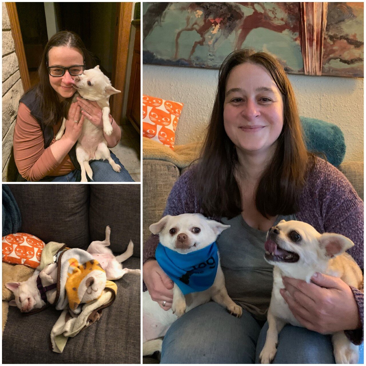 Sissy was surrendered to us when her mom had to flee a domestic violence situation. Barb fostered her for two months and really wasn’t sure if she could ever let her go. Then the perfect person came along. Leanne had lost her husband two months earl…